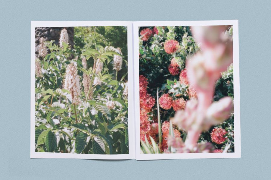 “The Moment of Peace" is a 16-page photozine collection of “calming and tranquil imagery”. Printed as a tabloid by Newspaper Club.