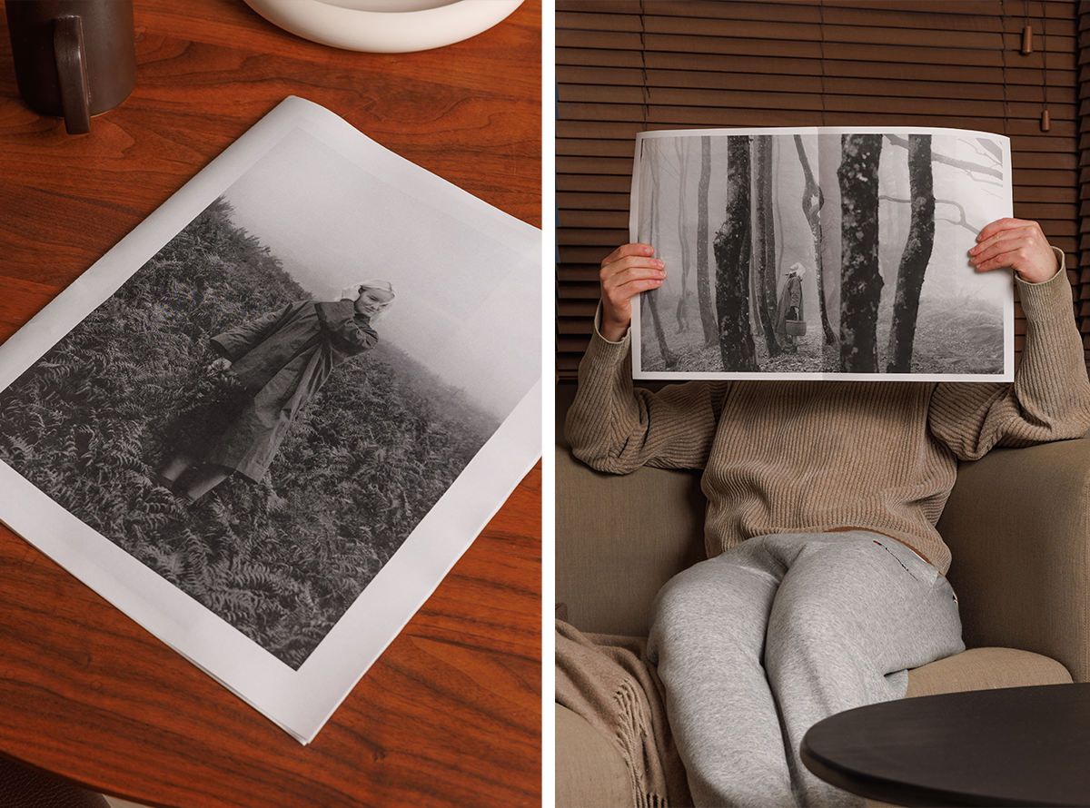 Ffern x Jess Wheeler newspaper